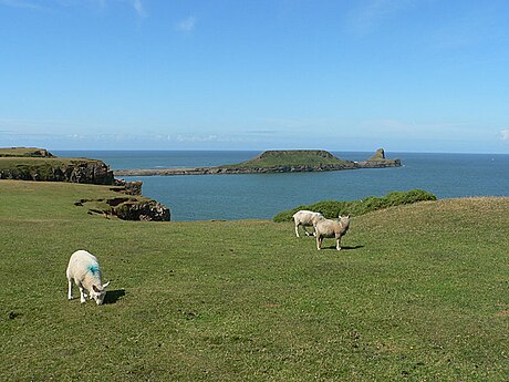 Worm’s Head