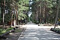 Заельцовский парк, Новосибирск 14.jpg
