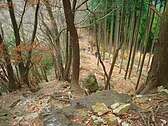 岩茸石山から惣岳山への道