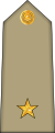 Sous lieutenant (מולאזם (ער')) (כוחות הקרקע האלג'יראיים)[1]