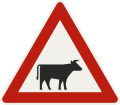 146-20 Cattle (positioned left)