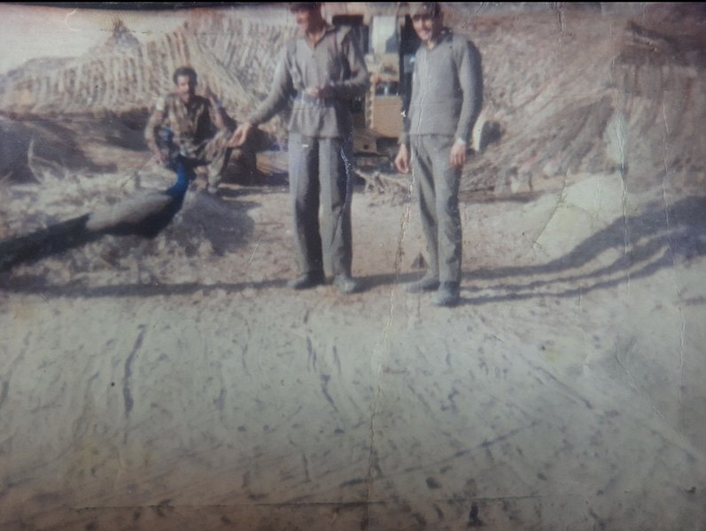 File:1971 indo pak war Soldiers feeding a peacock on Western front tilted.jpg