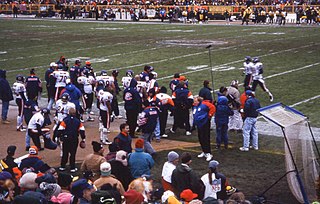 <span class="mw-page-title-main">1995 Chicago Bears season</span> NFL team season