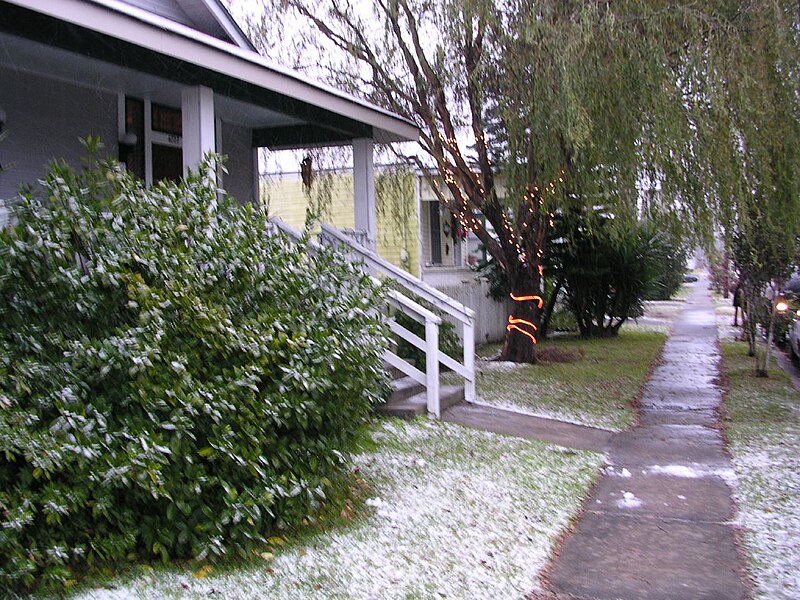 File:2004NOLAsnowSidewalk.jpg