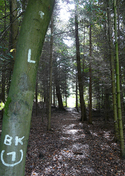 File:200910071144MEZ Limeswanderweg Wp 10-12 - Wp 10-13 5.jpg