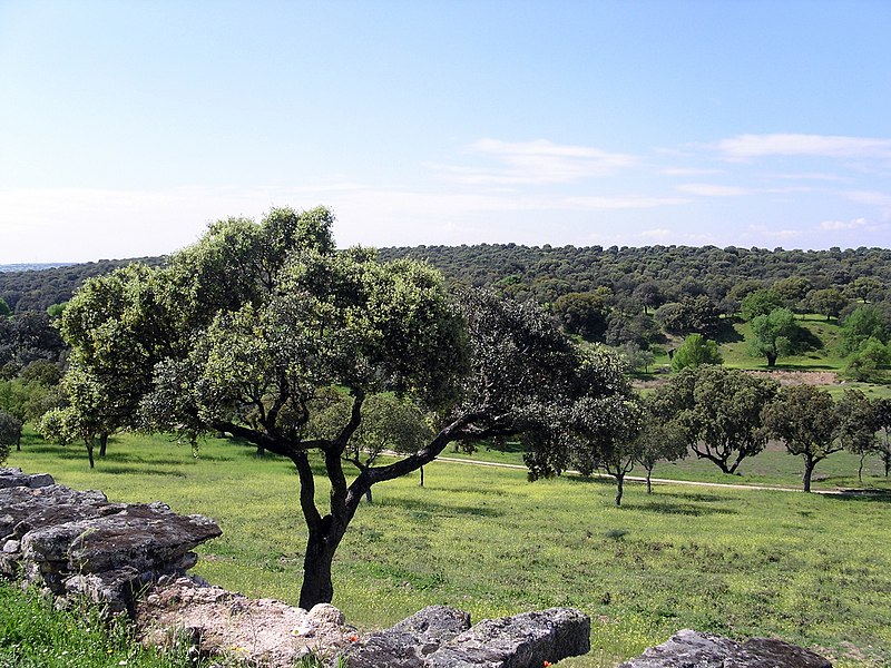 File:2010-05-01 Soto de Viñuelas - panoramio.jpg