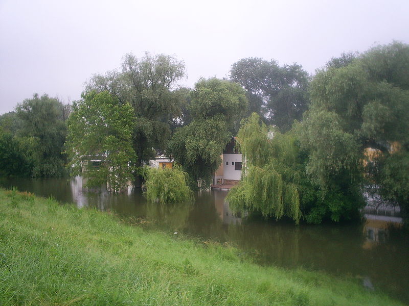 File:2010.06.05., Tisza, Szeged-Sárga - 4.jpg