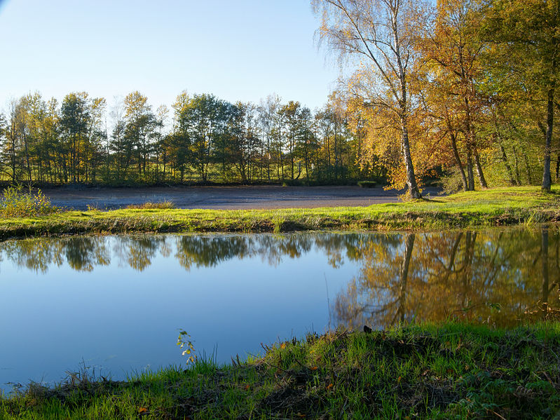 File:2013-10-31 15-38-55 etang-lamourelle.jpg