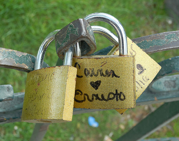 Cadenas d'amour à la Cathédrale Notre-Dame de Paris.