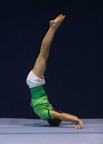 File:2022-11-19 MAG all-around competition warm-up Floor exercise at Jan Gajdoš Memorial 2022 (Martin Rulsch) 176.jpg