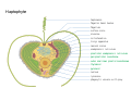 Thumbnail for version as of 22:38, 26 November 2023