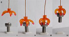 A time-lapse of an SMP gripper that Qi Ge et al. developed for grabbing and releasing an object. 4D Printing - gripper.jpg