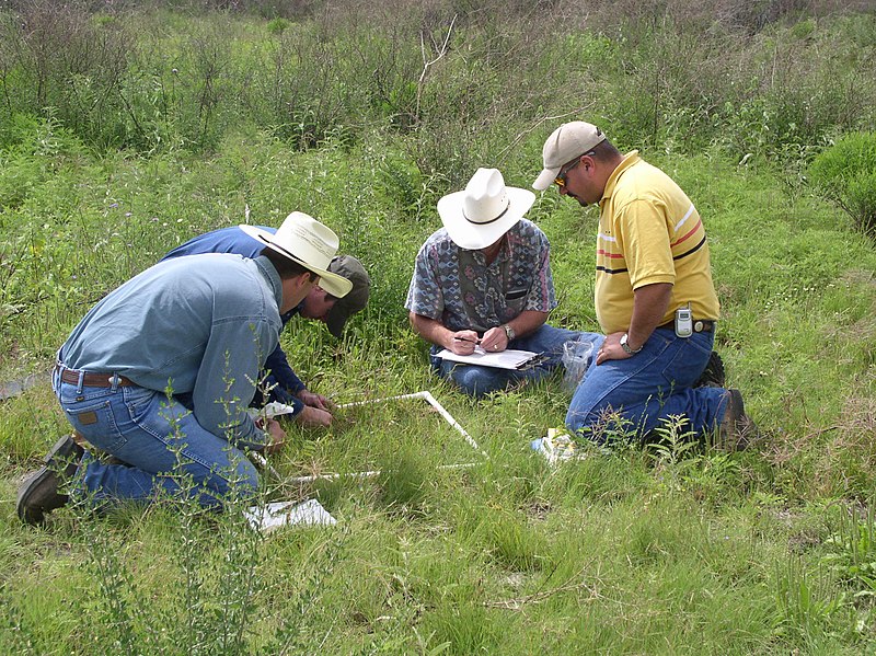 File:A team of NRCS Texas employees collects detailed vegetative and soil data in the field to develop Ecological Site Descriptions. (Photo by David Hinojosa, NRCS Texas) (24483168634).jpg