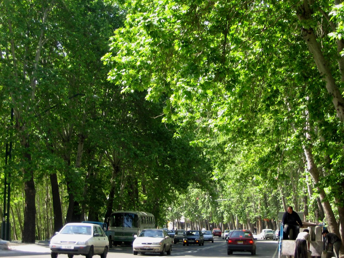 Valiasr Street