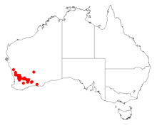 Acacia spinosissimaDistMap840.png