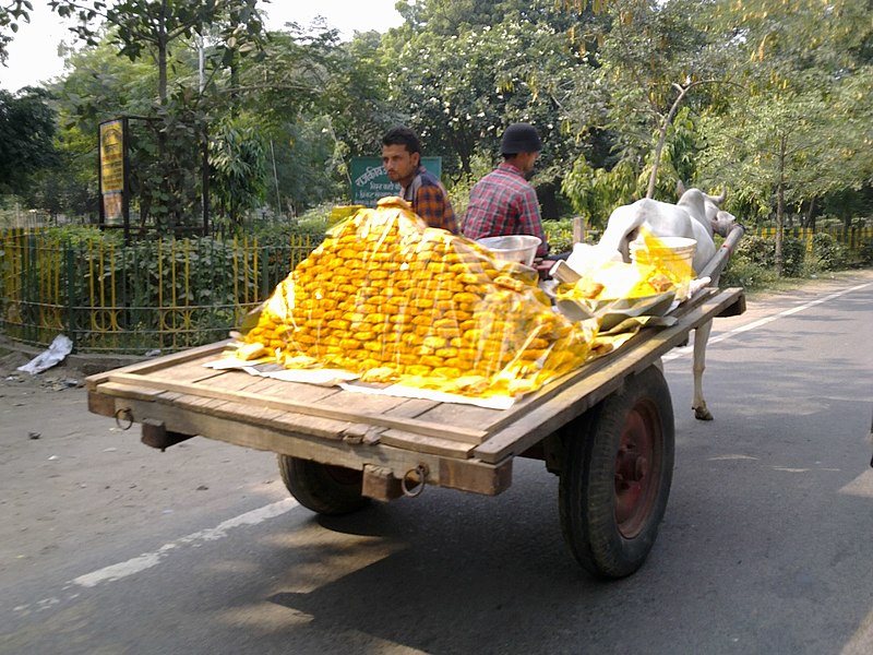 File:Agra 82 - cart with pure gold (41165232764).jpg