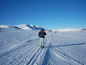 Groomed trails near Geilo, Norway
