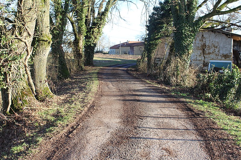 File:Allée Pré Molard St Cyr Menthon 4.jpg