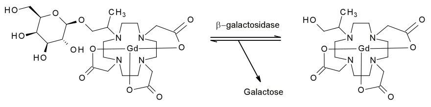 The b-galactosidase-catalyzed reaction that activates the contrast agent. Alpha series rxn.svg