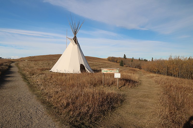 File:Ann and Sandy Cross Conservation area Calgary (37022770194).jpg