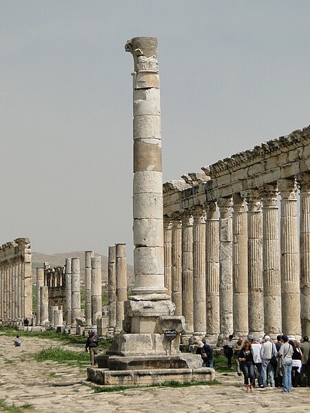 File:Apamea 17 - Votive column.jpg