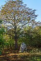 Menhir Blaue Gans Aschersleben