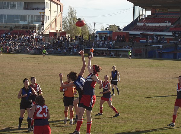 The rucks reach for the ball after the umpire (in orange) has balled it up.