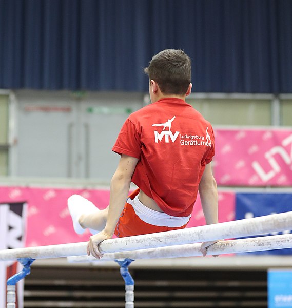 File:Austrian Future Cup 2018-11-23 Training Afternoon Parallel bars (Martin Rulsch) 0628.jpg