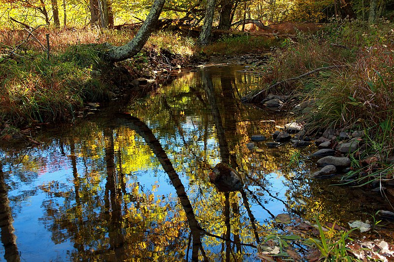 File:Autumn-forest-creek-reflections - West Virginia - ForestWander.jpg