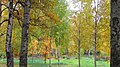 Autumn in the park. October 2014. - Осень в парке. Октябрь 2014. - panoramio.jpg