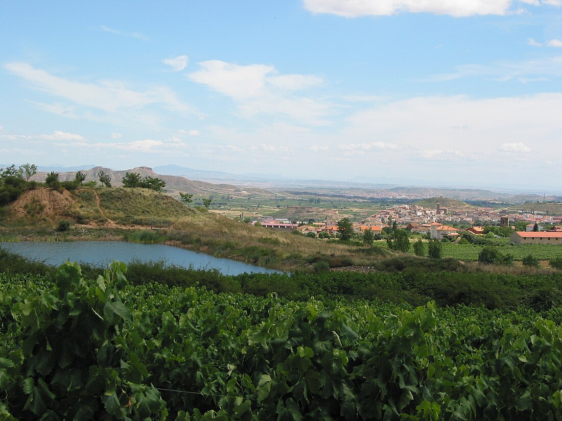 La Rioja (Spagna)