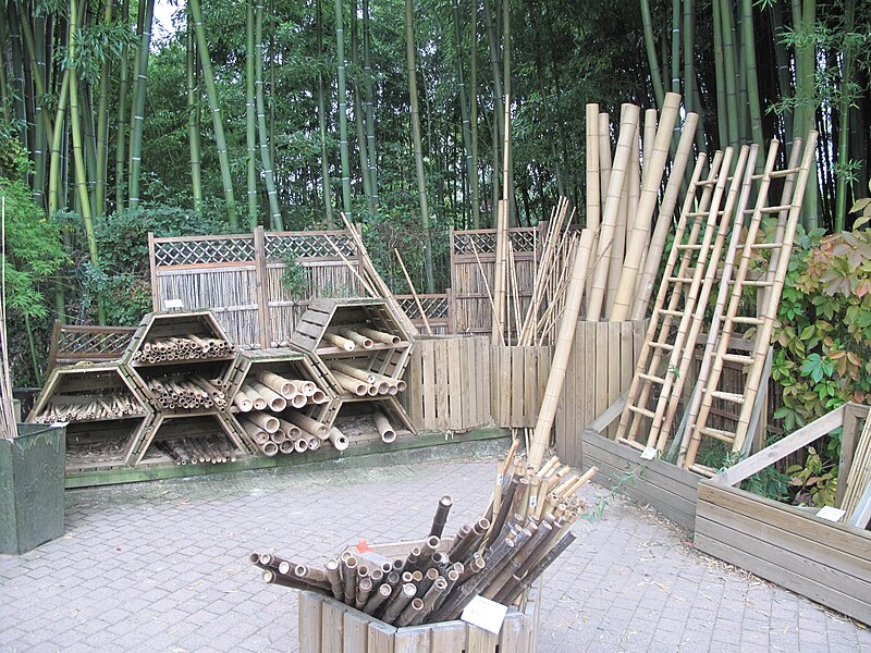 File:Bamboos for sale.jpg