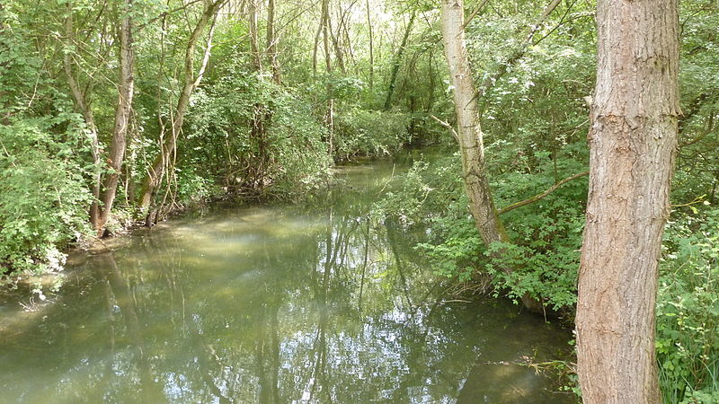 File:Bauerngrundwasser Rohrschollen.JPG