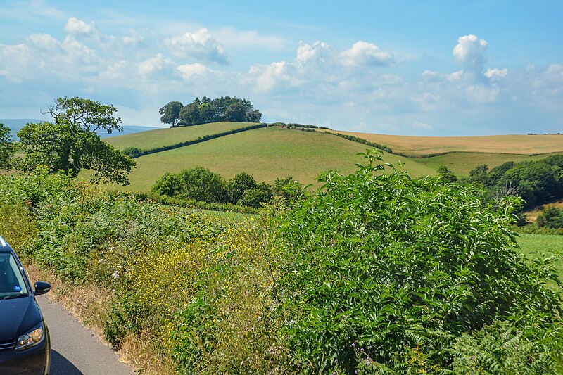 File:Berry Pomeroy , Countryside Scenery - geograph.org.uk - 6262071.jpg