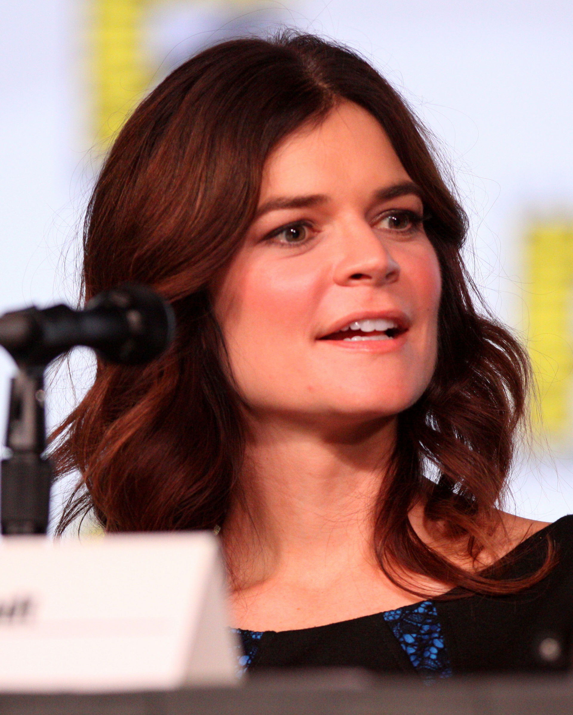 Betsy Brandt Wikipedia