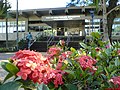 Biblioteca Pública Municipal de Campinas - panoramio.jpg