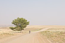 A bikepacker cycling on a wide gravel road