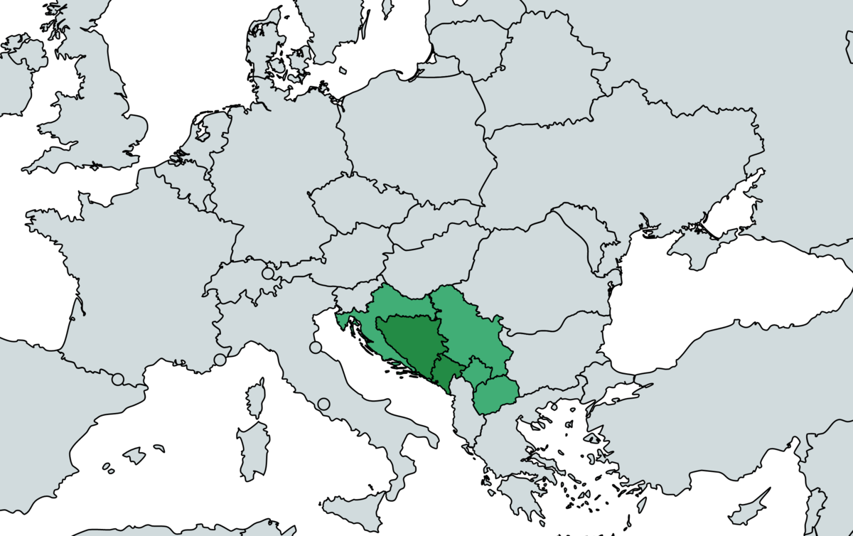 Bosnian Cyrillic - Wikipedia