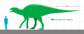 Brachylophosaurus