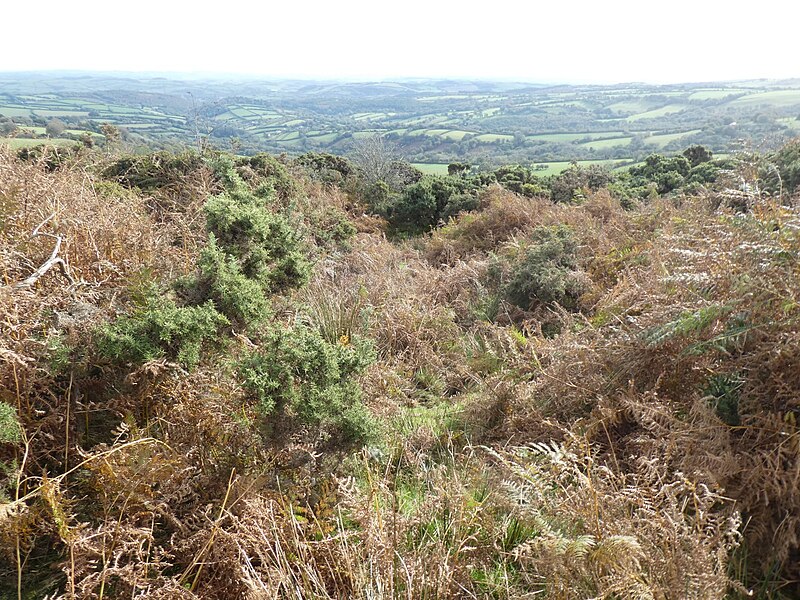 File:Bracken and gorse in a shallow valley, Holne Moor - geograph.org.uk - 5954410.jpg