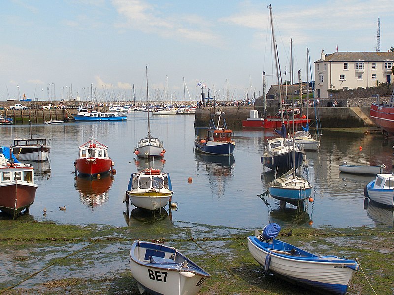 File:Brixham Harbour - geograph.org.uk - 1772674.jpg