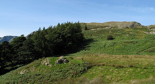 Brownend Plantation - geograph.org.uk - 2053736