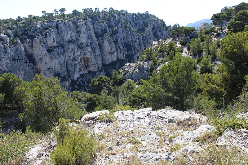 File:Calanque En Vau Marseille 11.jpg