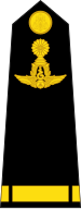 File:Cambodian Air Force OR-09b.svg