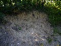 The fragile sandstone soil of Cappuccini Hill that, on XIII century, caused the abandonment of the castle