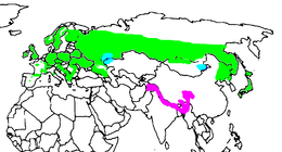 Distribution géographique du Grimpereau des bois :



Résident annuel
Visiteur hivernal

Répartition de la sous-espèce C. f. hodgsoni, souvent considérée comme une espèce à part entière Certhia hodgsoni