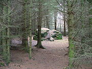 Clach na Coileach or Cockstane. Meeting place of the Clan MacThomas. They built their first settlement at Finegand Clach Na Coileach or Cockstane - geograph.org.uk - 67135.jpg