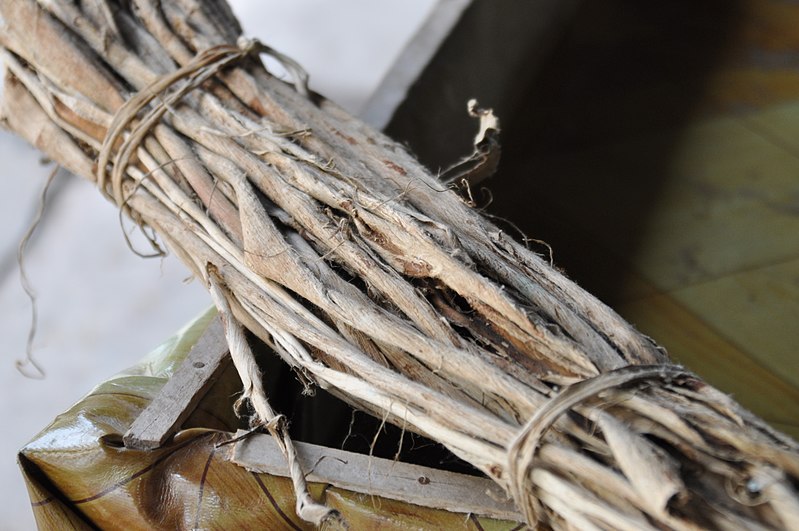 File:Closer view of the bark for making hand made paper (14419327908).jpg