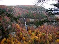 Thumbnail for Cloudland Canyon State Park