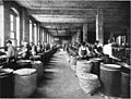 Thumbnail for File:Cork cutting at Armstrong Cork Company.jpg